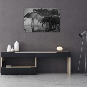 Elefánt képe - fekete fehér (90x60 cm)