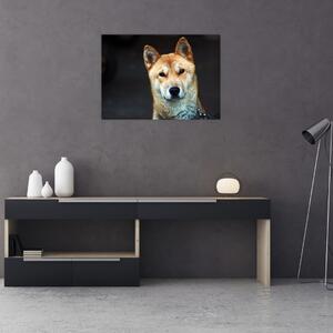 Kutya képe (70x50 cm)