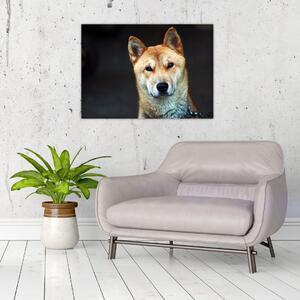 Kutya képe (70x50 cm)