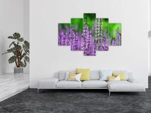 Lila mezei virágok képe (150x105 cm)