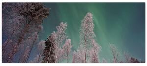 Az aurora borealis képe fagyos fák felett (120x50 cm)