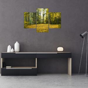 Kép - erdő ősszel (90x60 cm)
