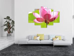 Lótuszvirág kép (150x105 cm)