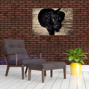 Egy fekete kiskutya képe (90x60 cm)