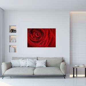 Kép - részlet a rózsáról (90x60 cm)