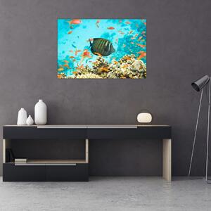 A víz alatti világ képe (90x60 cm)