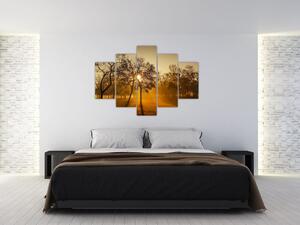 Napkelte kép (150x105 cm)