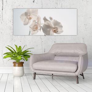 Fehér orchidea képe (120x50 cm)
