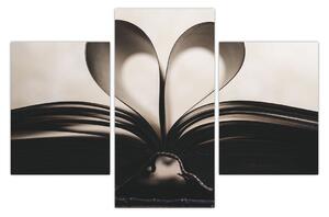 A könyv képe (90x60 cm)