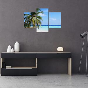 Pálmafák a strandon képe (90x60 cm)