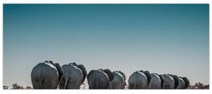 Kép - Elefántok indulása (120x50 cm)