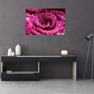 Rózsaszín rózsa virágzata képe (90x60 cm)