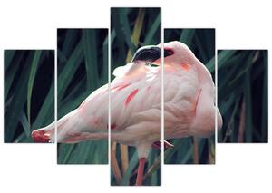 Kép - Flamingó (150x105 cm)