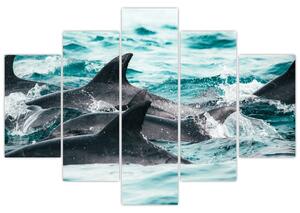 Kép - Delfinek az óceánban (150x105 cm)