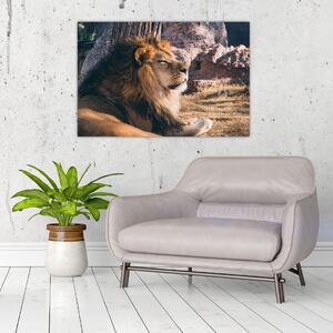 Egy fekvő oroszlán képe (90x60 cm)