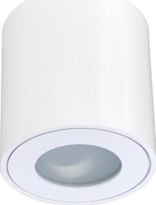 Lampa sufitowa ECOLIGHT2 Eco Light EC79971 spot lampa sufitowa 1x35W GU10 biały