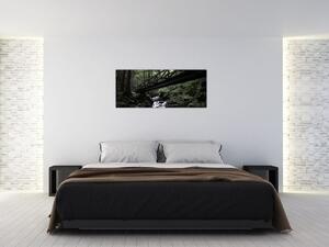 Fekete erdő képe (120x50 cm)
