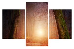 Őszi erdő képe a ködben (90x60 cm)