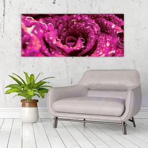 Rózsaszín rózsa virágzata képe (120x50 cm)