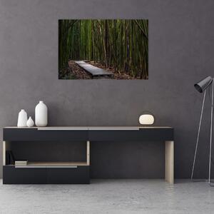 Kép - A bambuszok között (90x60 cm)