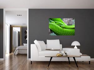 Zöld kígyók képe (90x60 cm)
