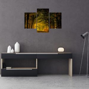 Erdő képe (90x60 cm)
