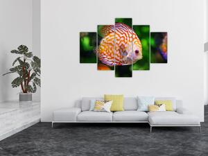 Egy hal képe (150x105 cm)