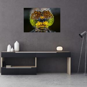 Részletes kép a rovar szemről (90x60 cm)