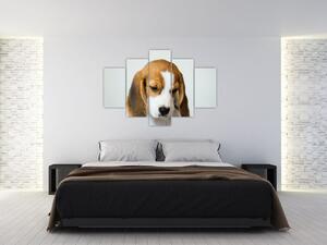 Beagle képe (150x105 cm)