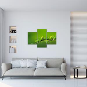 Zöld fenyőtoboz képe (90x60 cm)