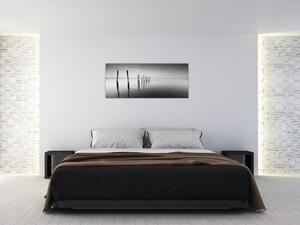 Egy fekete-fehér vízfelszín képe (120x50 cm)