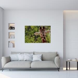 A zsiráf képe hátulról (90x60 cm)