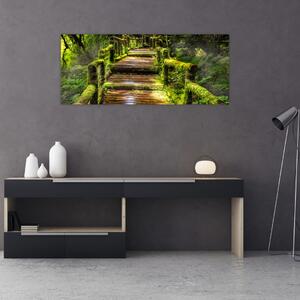 Lépcső az esőerdőben képe (120x50 cm)