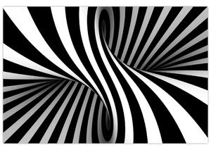 Absztrakt kép zebra csíkokkal (90x60 cm)