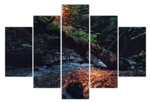 Hegyi folyó képe (150x105 cm)