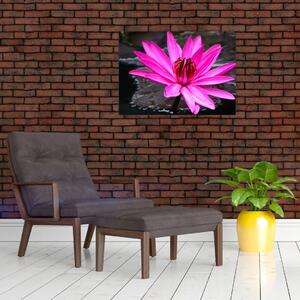 Kép - rózsaszín virág (70x50 cm)