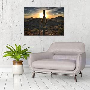 Kép - kaktuszok a napon (70x50 cm)
