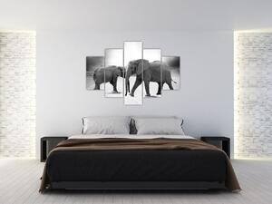 Elefántok képe (150x105 cm)