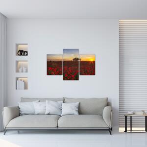 Pipacsos rét képe (90x60 cm)