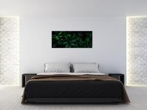 Kép - trópusi páfrány (120x50 cm)