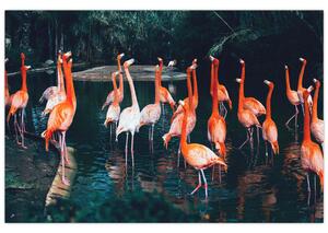 Flamingók csordája (90x60 cm)