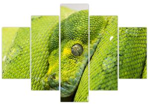 Kígyó képe (150x105 cm)