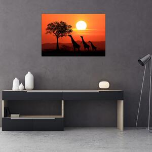 Zsiráfok képe naplementekor (90x60 cm)