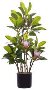 Műnövény MAGNOLIA 70 cm Zöld