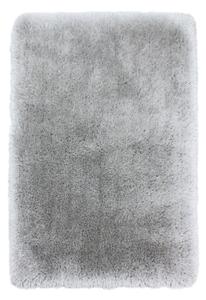 Világosszürke szőnyeg 160x230 cm – Flair Rugs