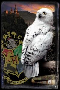 Művészi plakát Harry Potter - Hedwig, (26.7 x 40 cm)