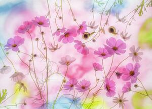 Fotográfia Autumn dream, Miharu, (40 x 30 cm)