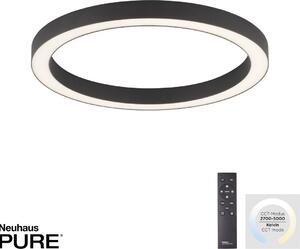 Paul Neuhaus modern mennyezeti lámpa pure-lines antracit pln6309-13