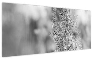 Kép - Boho pampafű (120x50 cm)