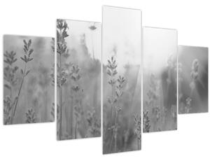 Kép - Levendula (150x105 cm)
